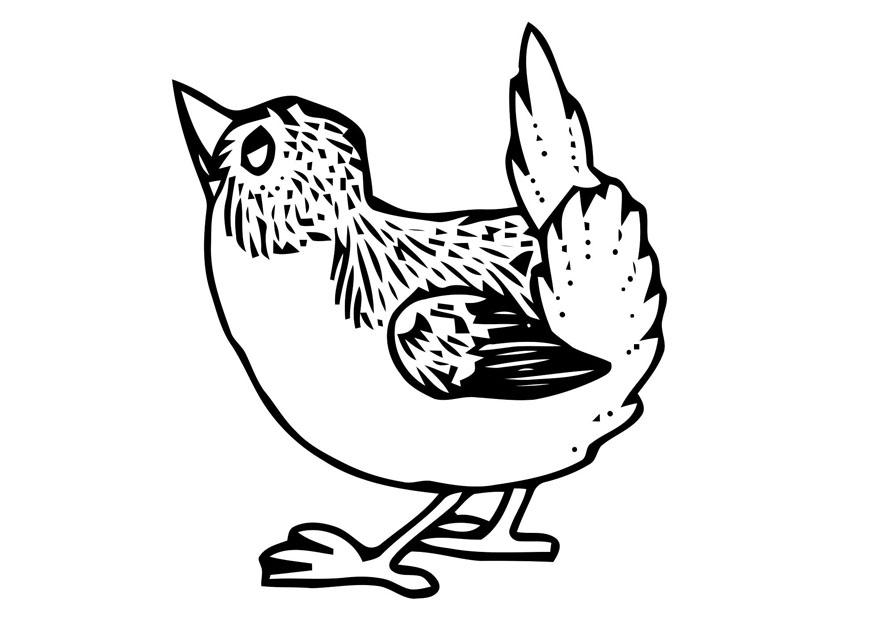 Coloring page small bird