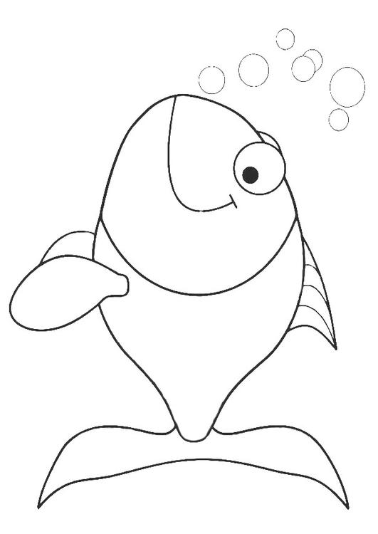 small fish