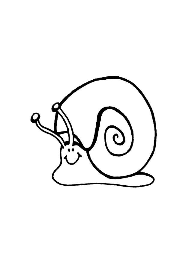 Coloring page snail