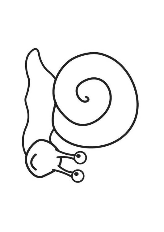 Snail