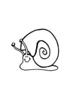 Coloring pages snail