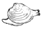 Coloring pages snail