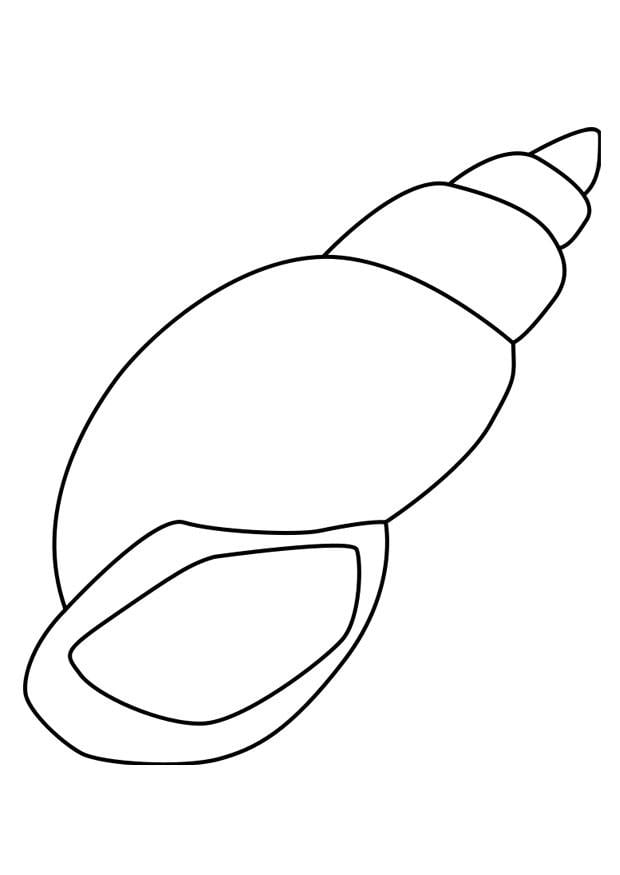 Coloring page snail shell