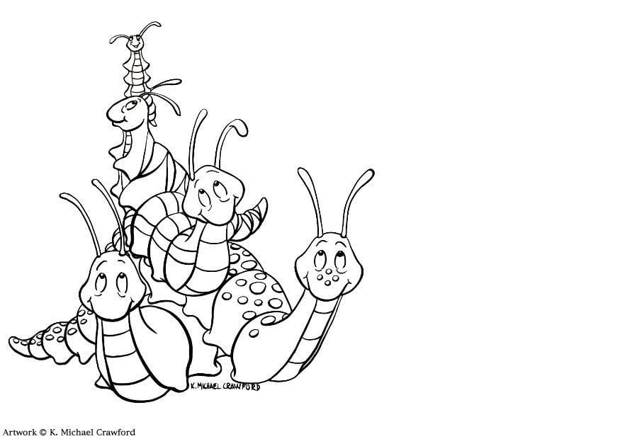 Coloring page snails and slugs
