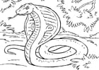 Coloring page snake - cobra