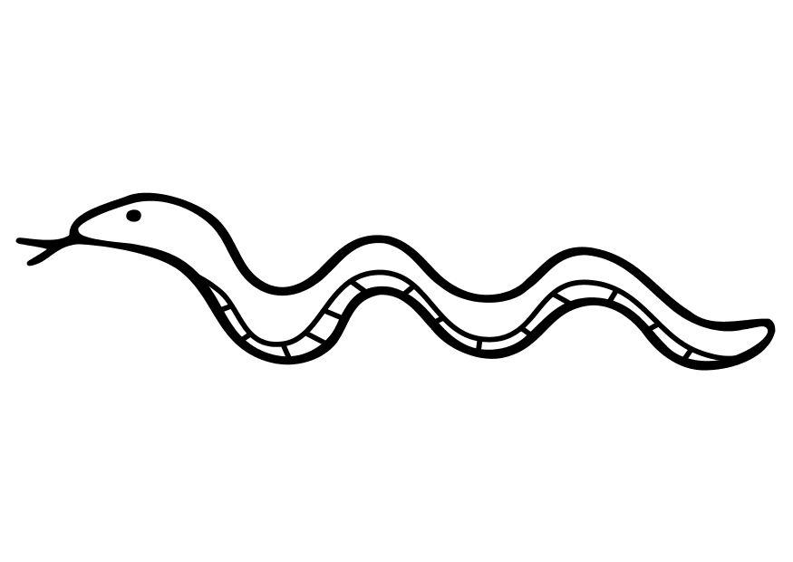 Coloring page snake