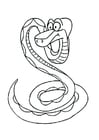 Coloring pages snake