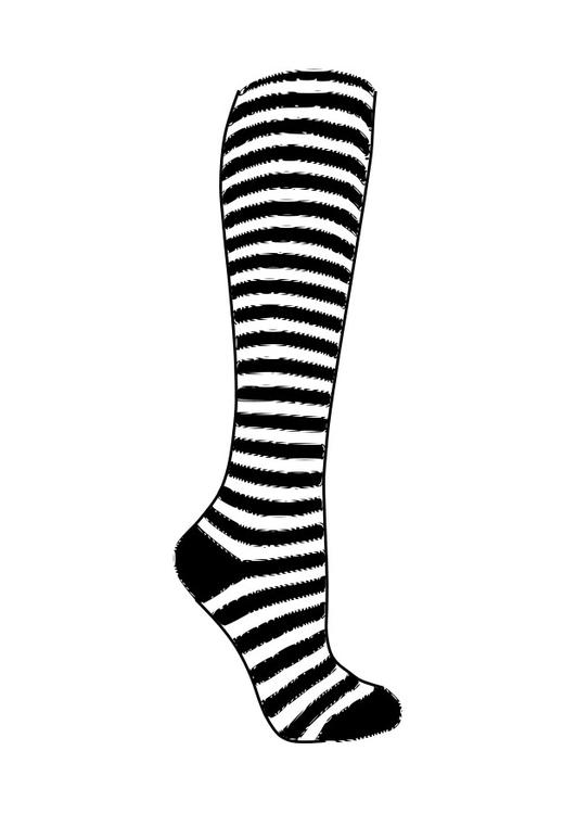 sock