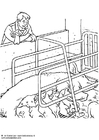 Coloring pages sow with piglets