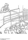 Coloring page sow with piglets