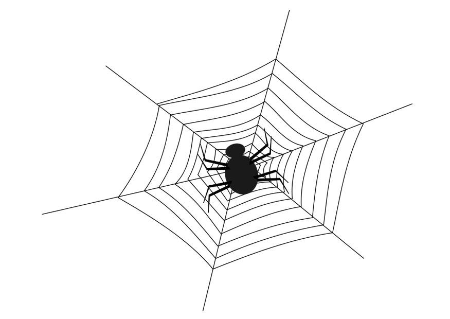 Coloring page spider web with spider