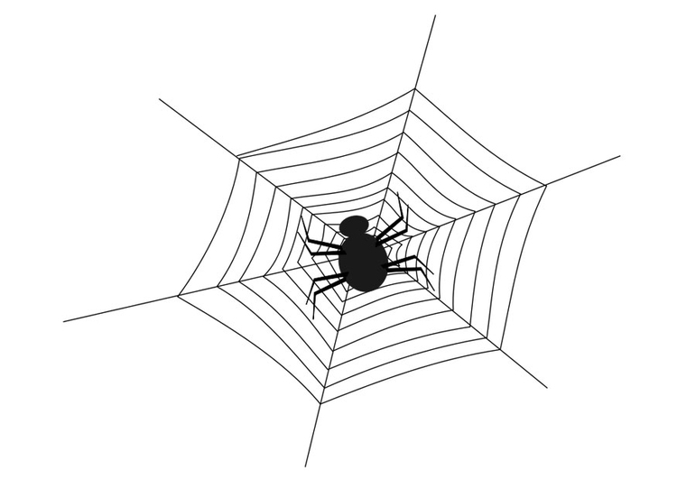 Coloring page spider web with spider