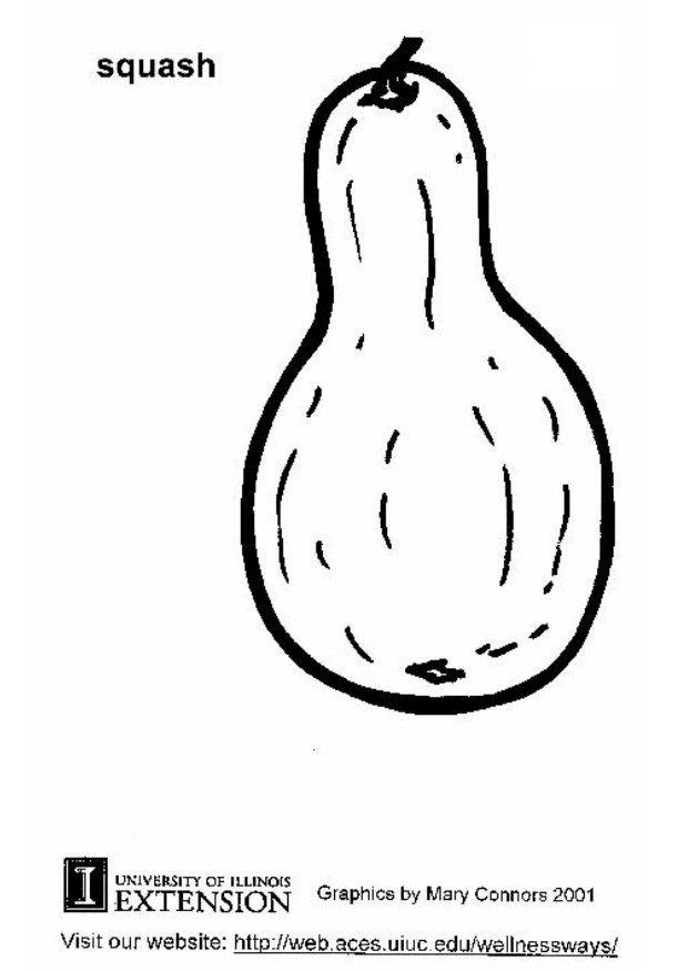 Coloring page squash