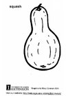 Coloring page squash