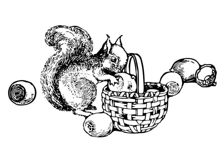 Coloring page squirrel