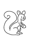 Coloring page Squirrel