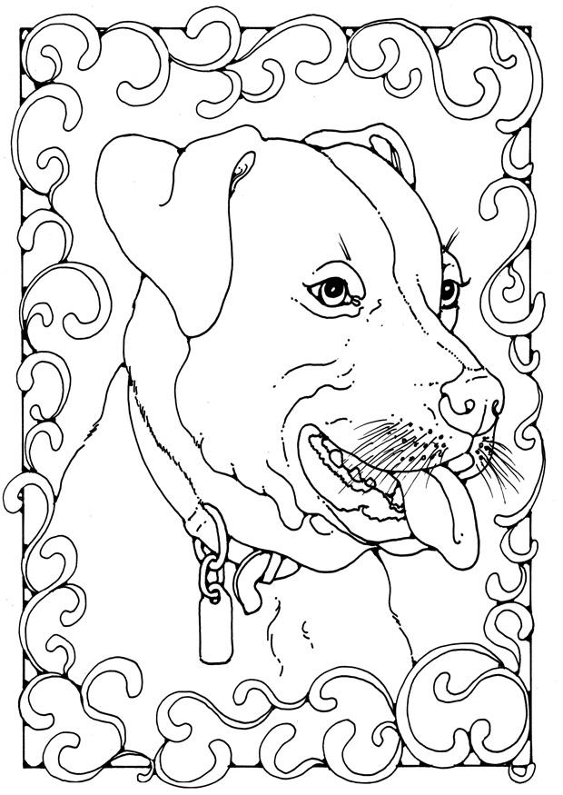 Coloring Page staffordshire bull terrier - free printable coloring