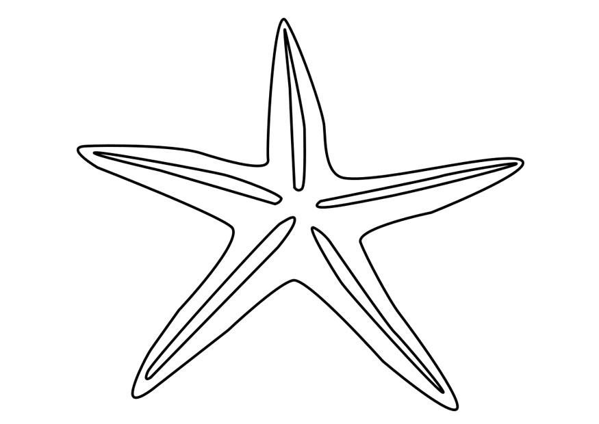 Coloring page starfish