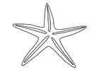 Coloring page starfish