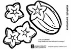 Coloring pages starfruit