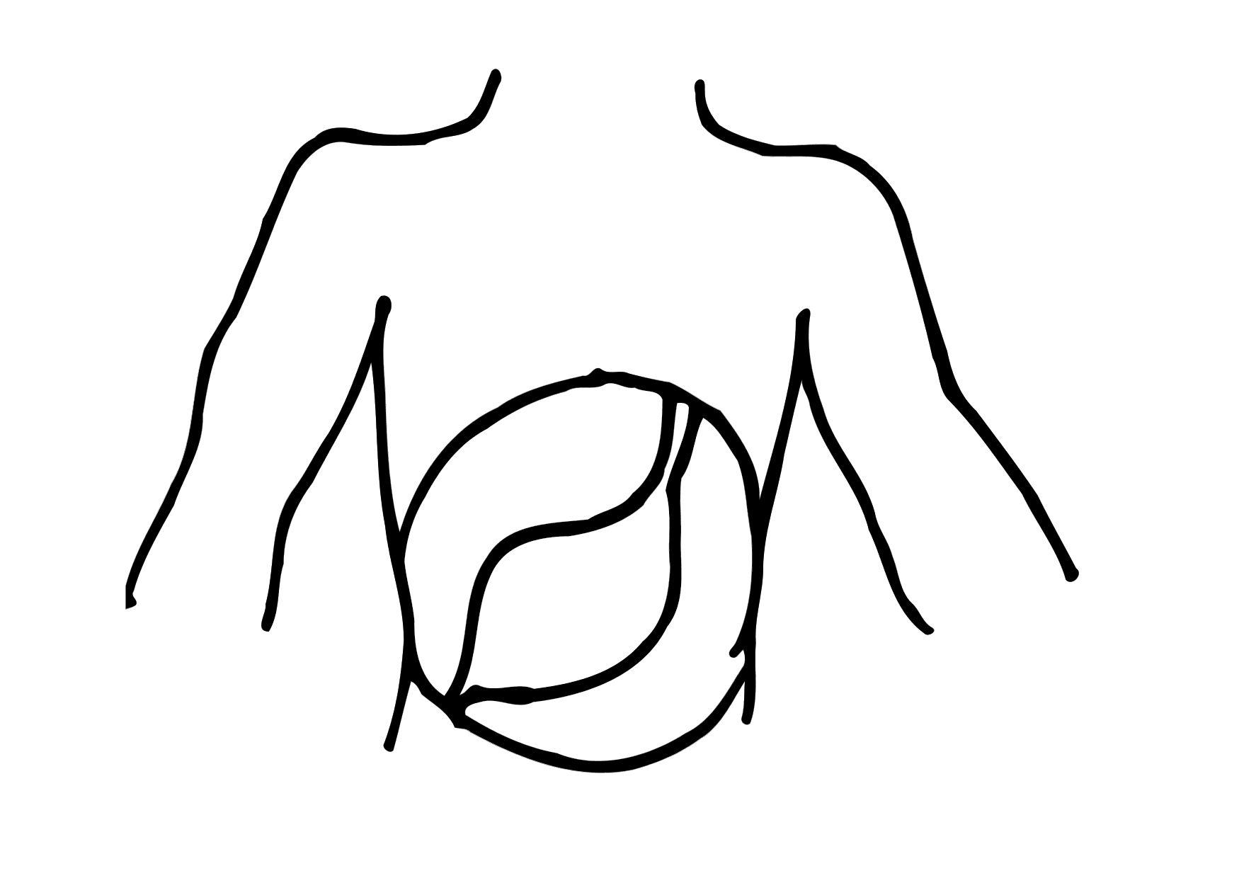Coloring page stomach
