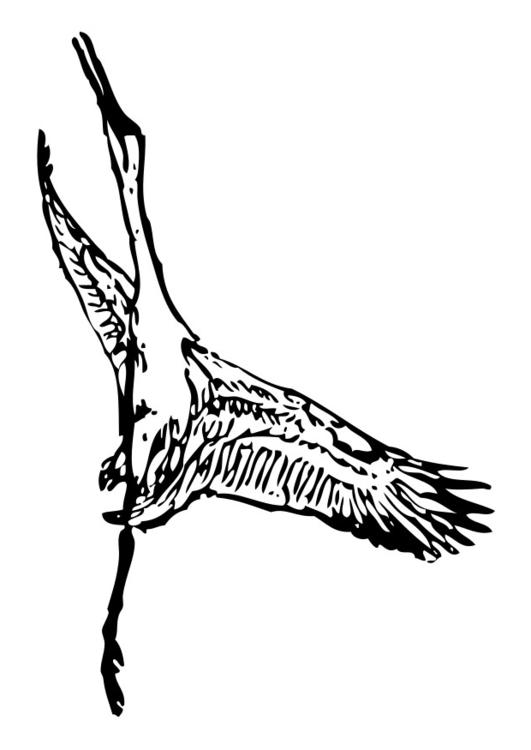 stork