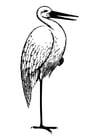 Coloring pages Stork