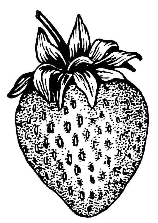 Coloring page strawberry