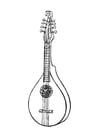 stringed instrument - cittern