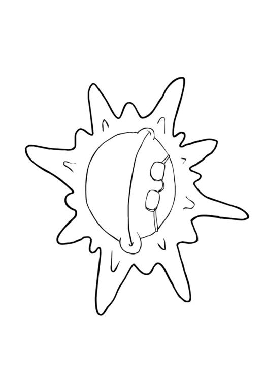 sun