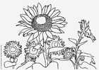 coloring-page sunflowers