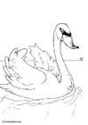 Coloring page swan