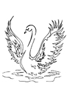 Coloring page swan