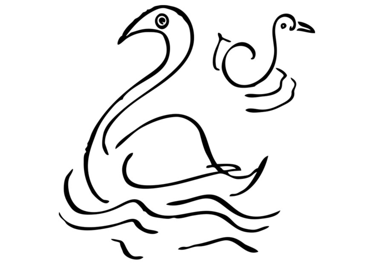 Coloring page swans