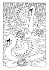 Coloring page swans