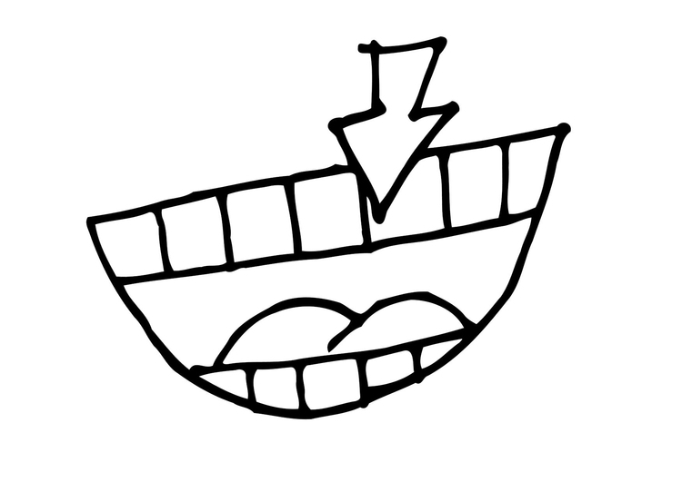 Coloring page teeth