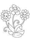 Coloring pages three flowers