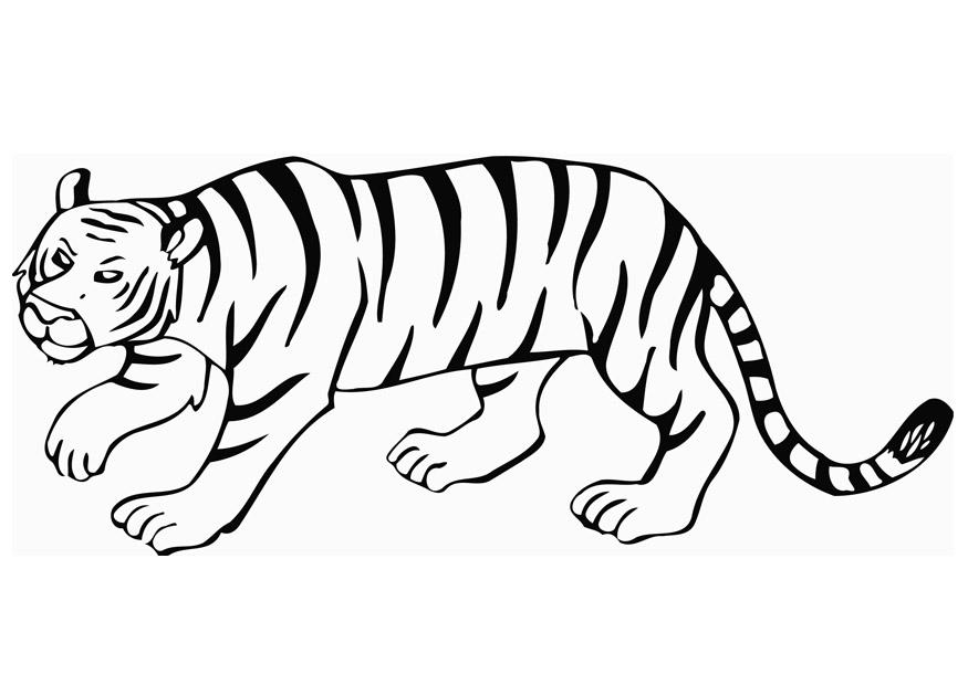 Coloring Page tiger - free printable coloring pages - Img 12849