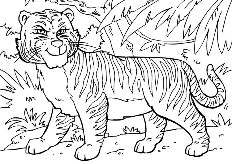 Coloring page tiger