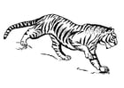 Coloring pages tiger