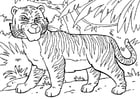 Coloring pages tiger