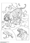 Coloring pages tiger