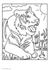 Coloring pages tiger