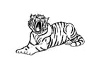 Coloring pages tiger