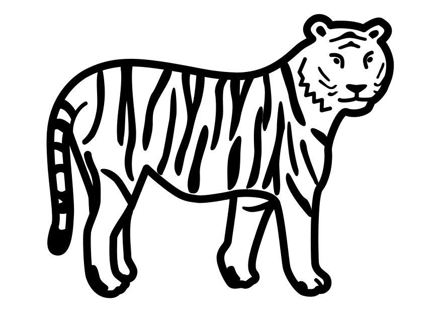 Coloring page tiger standing