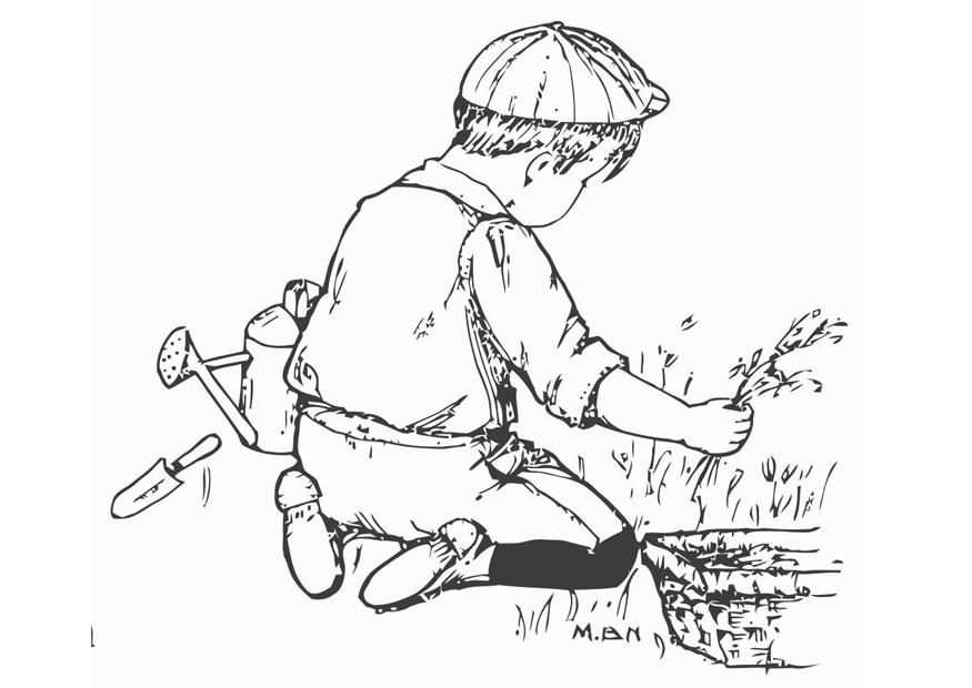 Coloring page to garden