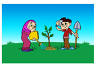 Image to plant a tree