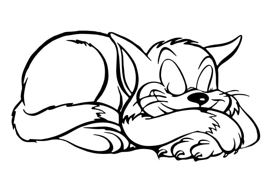 Coloring page to sleep -cat