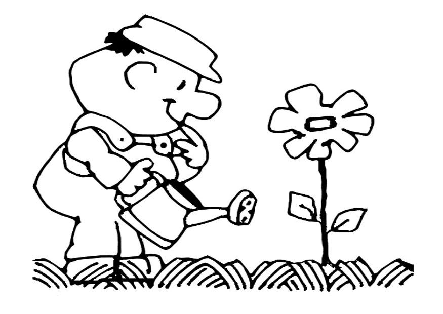 Coloring page to water the flowers