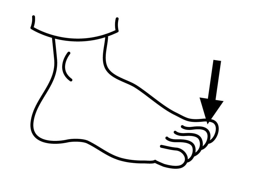 Coloring page toe